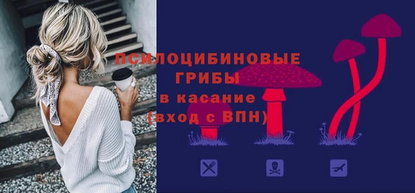 ПСИЛОЦИБИНОВЫЕ ГРИБЫ Богородск